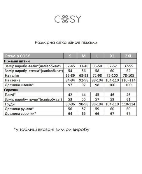 Піжама тепла жіноча  COSY Тедді (сорочка+штани) ХL F46P фото